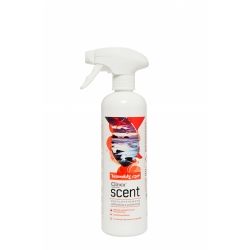 Clinex - odświeżacz powietrza scent tasmański czar 500ml (koncentrat)